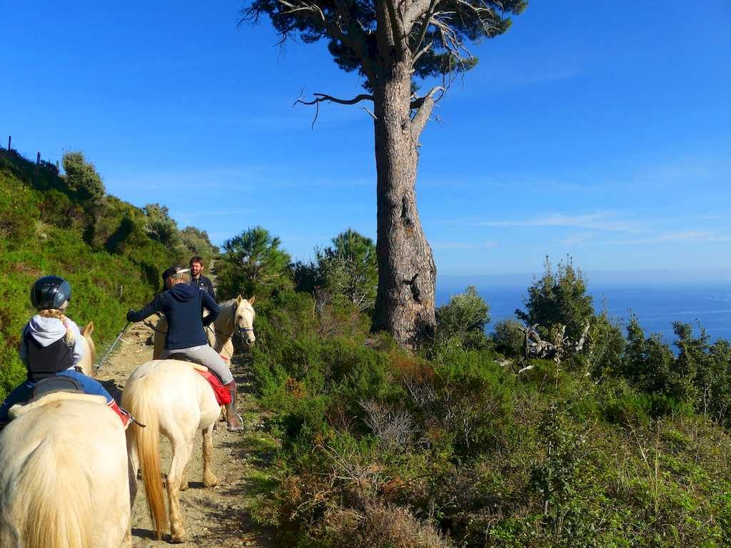 Balade à cheval au Cap Corse